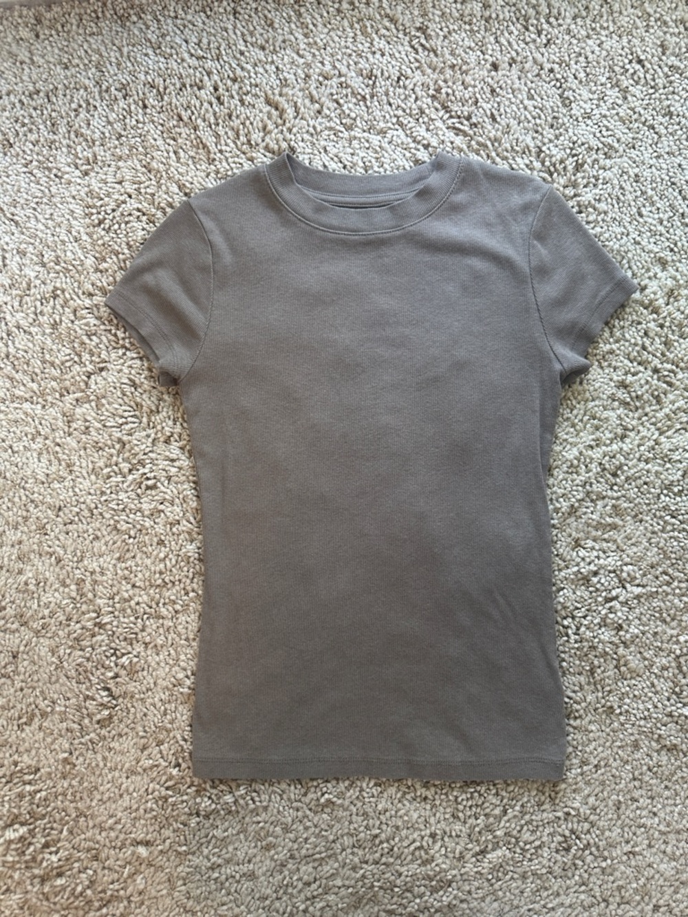 Women's Short Sleeve Crewneck Top in Brown